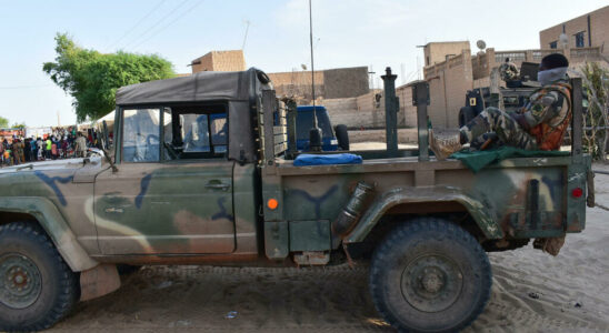 Mali fifteen people executed by the army and Wagner in