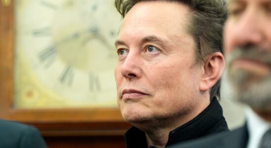 Musk wants data on taxpayers