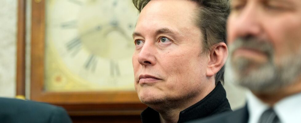 Musk wants data on taxpayers