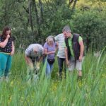 Nobody knows it but nature lovers want to save Dwelfsloot