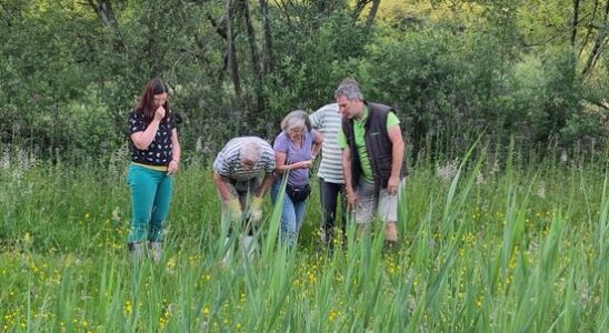 Nobody knows it but nature lovers want to save Dwelfsloot