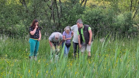 Nobody knows it but nature lovers want to save Dwelfsloot