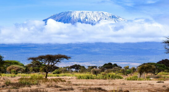 On the sides of Kilimandjaro