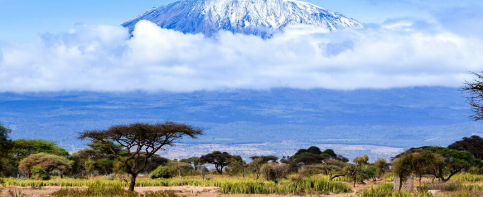 On the sides of Kilimandjaro