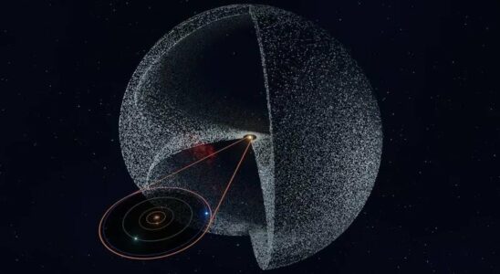 Oort cloud can be more complicated than we think