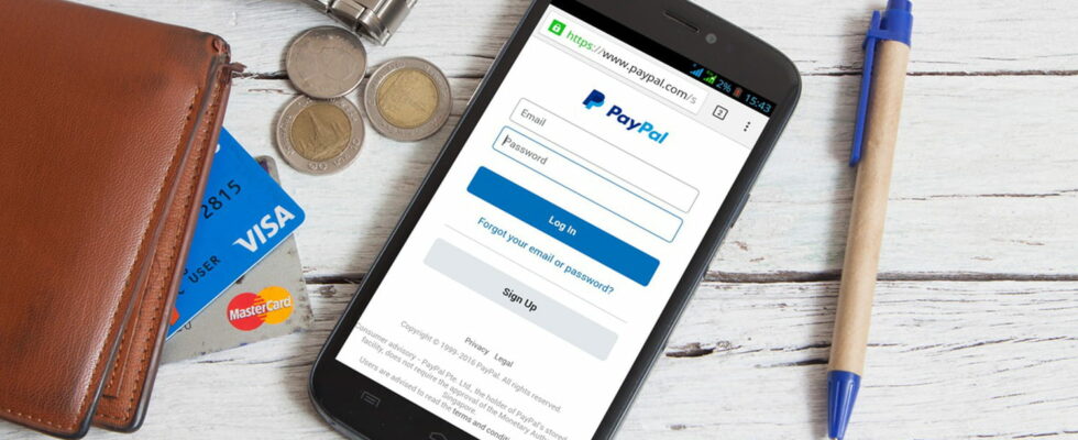 Pirates have diverted a PayPal function and send emails by