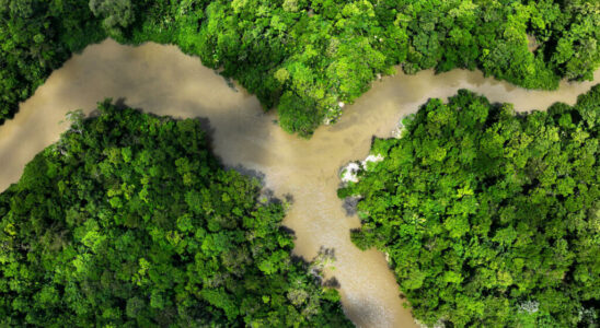 Resumption of COP16 Biodiversity in Rome will countries exceed their