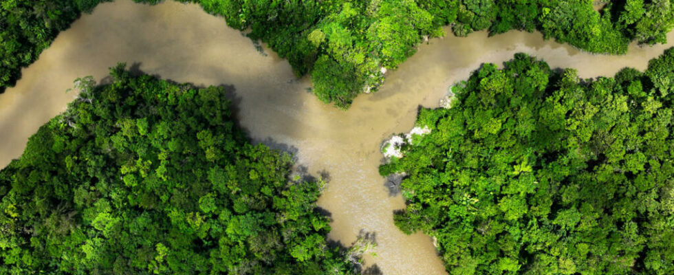 Resumption of COP16 Biodiversity in Rome will countries exceed their