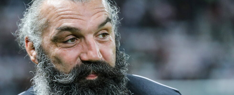 Sebastien Chabal has become a real businessman with several companies