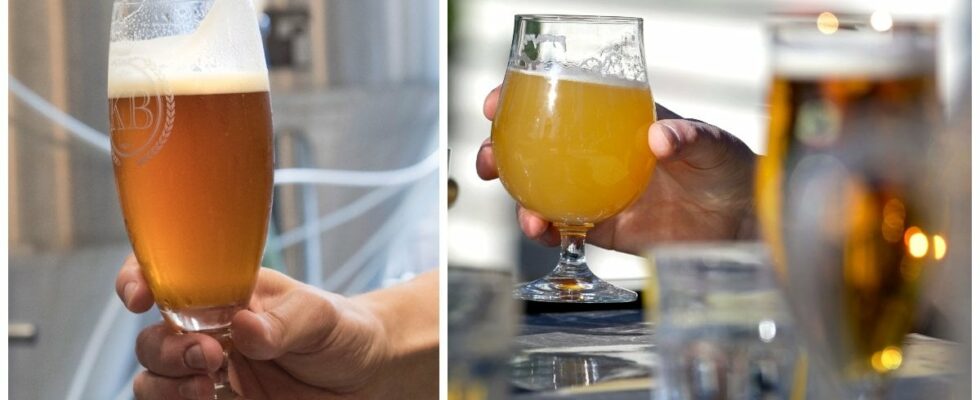 Swedish microbrewery goes bankrupt after 33 years