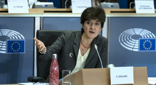 Sylvie Goulard The EU does not weigh its weight in