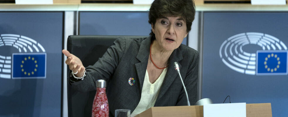 Sylvie Goulard The EU does not weigh its weight in