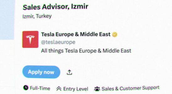 Tesla Turkiye is looking for a sales consultant based in