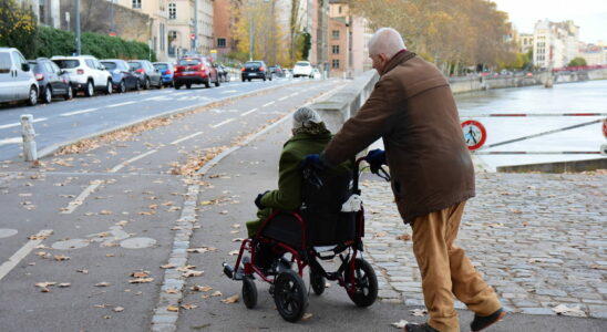 The 6 galleys who make the life of the disabled