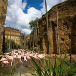 This unique zoo in the world is in France animals