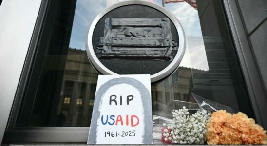 USAID dismantling by Donald Trump thousands of licensed employees