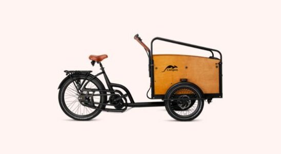 Utrechtse cargo supplier Cangoo recalls cargo bikes chance of frame