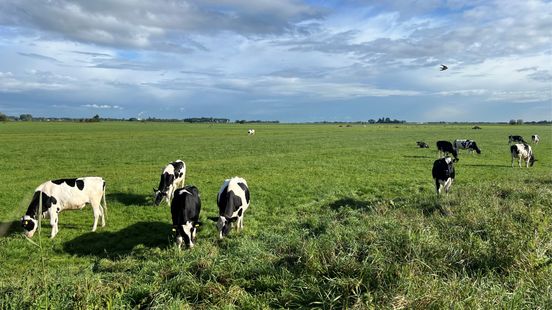 Water Board fears poor water quality because grassland becomes fields