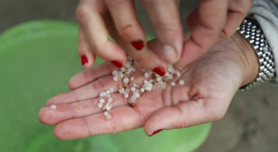 Where do these thousands of plastic balls come from that