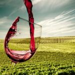 Wine UIV pending duties tricolor consumption close 2024 in the