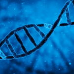 23Andme a biotechnology company which offers genetic analyzes to individuals