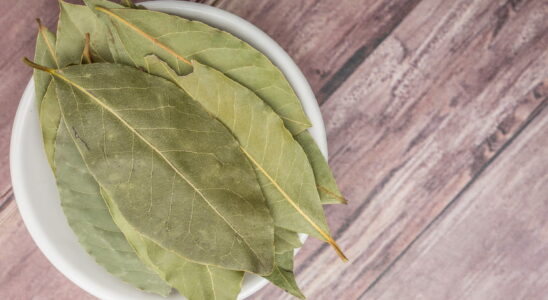 A lemon and a few bay leaves in all corners