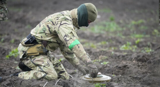 Anti personnel mines Lithuania plans to withdraw from the Ottawa