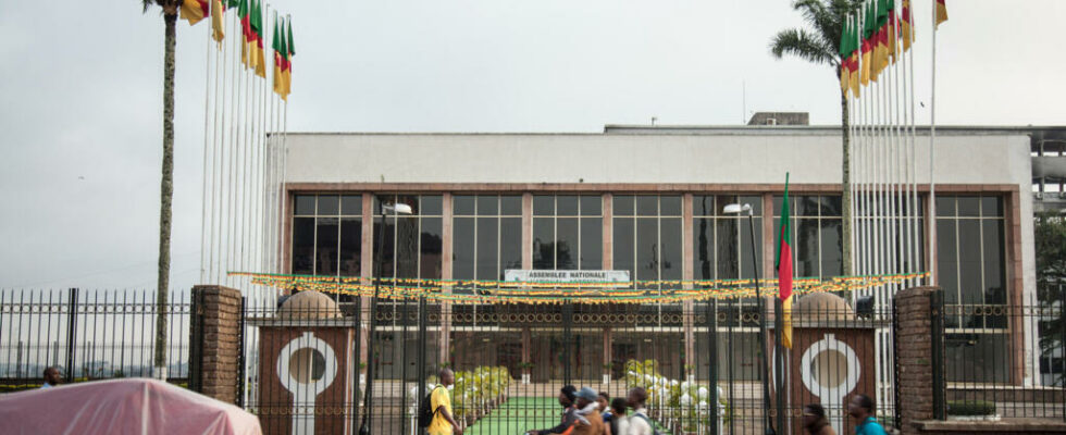 Cameroon opening of the first parliamentary session of the year