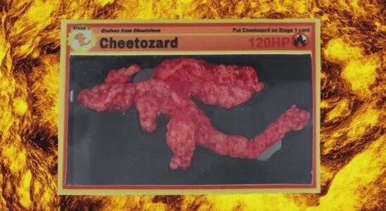 Charizard shaped chips sold for 87840 dollars