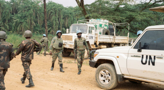 DRC Towards a return from Monusco to South Kivu