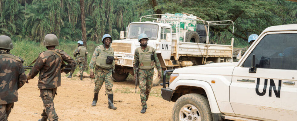 DRC Towards a return from Monusco to South Kivu