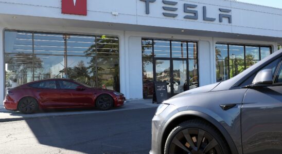 Divided by two in a year Tesla sales in free