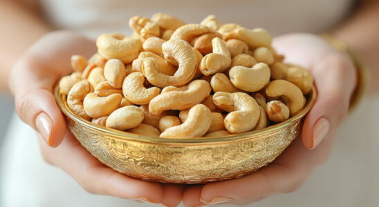 Do cashews increase cholesterol