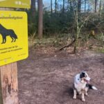 Dog owners from Zeist want to get rid of the