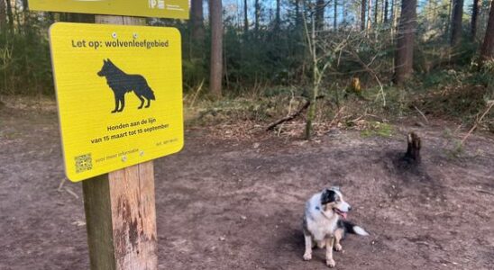 Dog owners from Zeist want to get rid of the