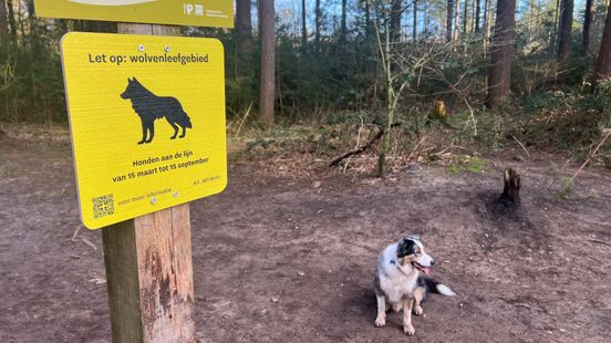 Dog owners from Zeist want to get rid of the