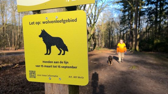 Dog owners unpleasantly surprised by leash obligation in Austerlitz Never