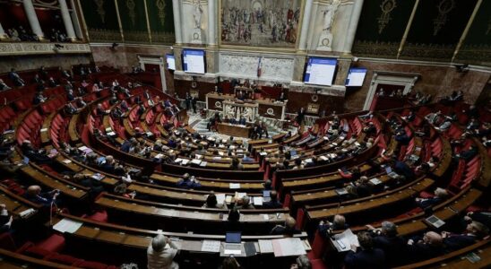 French deputies debate from Ukraine to the National Assembly