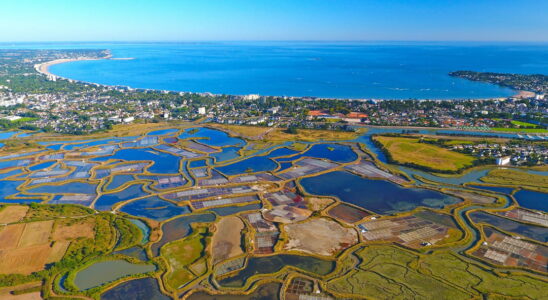 Guerande salt marshes on the white gold road