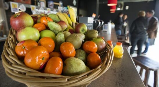 Handball club opts for healthier canteen more fruit less sugar