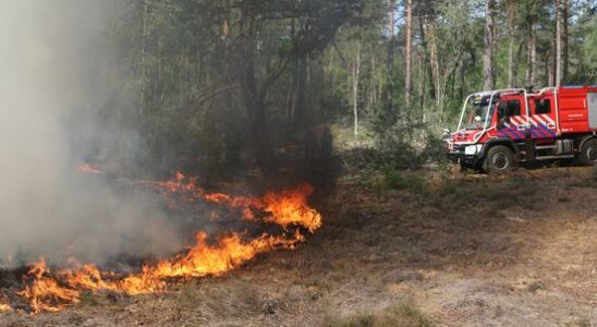 Higher risk of natural fires in the province of Utrecht