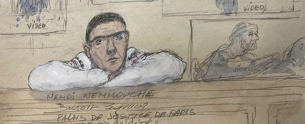 IS hostages Mehdi Nemmouche guilty of having been the jailer