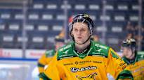 Ilves takes his defender ban on the Sports Law Enforcement