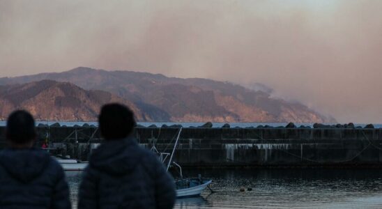 In Japan the northeast region affected by large forest fires