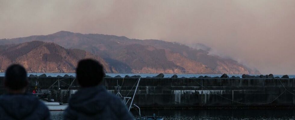 In Japan the northeast region affected by large forest fires