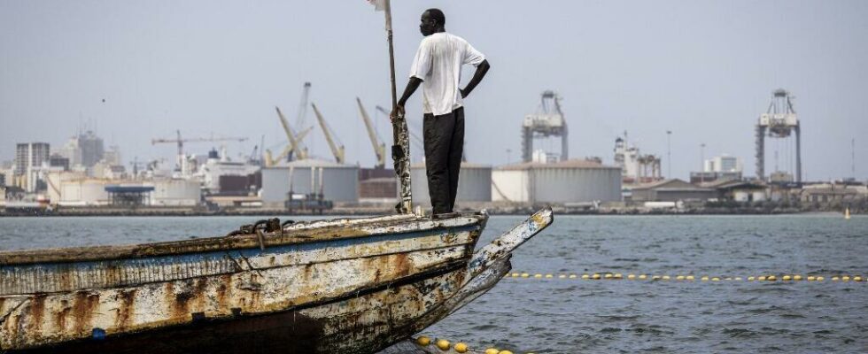 In Senegal workshops to inform about the mysterious fishermens disease