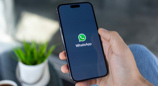 In order to avoid embarrassing video calls WhatsApp is working