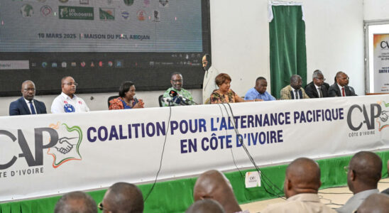 Ivory Coast the coalition for peaceful alternation 25 parties officially