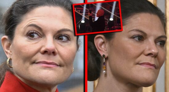 Known Swede had to apologize to Crown Princess Victoria