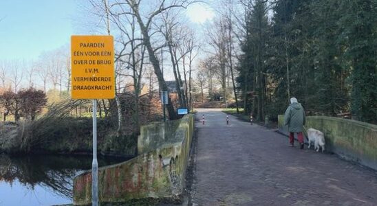 Leusden is struggling with costs for approach bridge in Lockhorsterbos